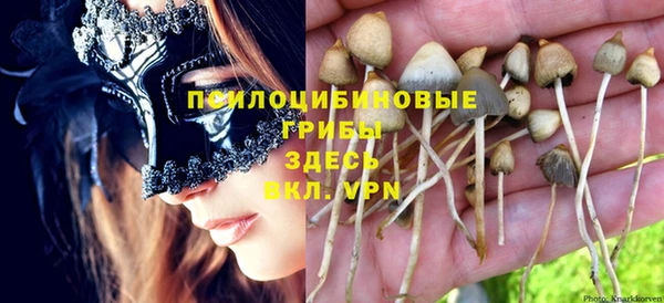 прущая мука Киренск