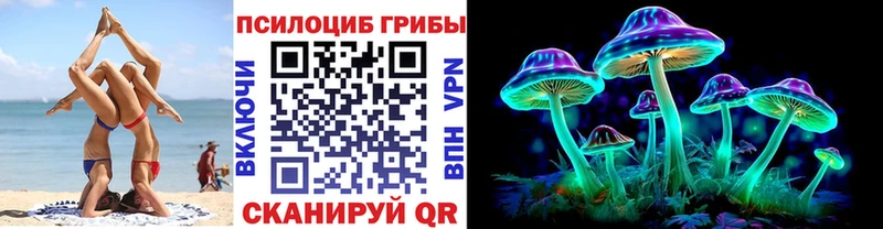 Галлюциногенные грибы MAGIC MUSHROOMS  где продают   Светлоград 